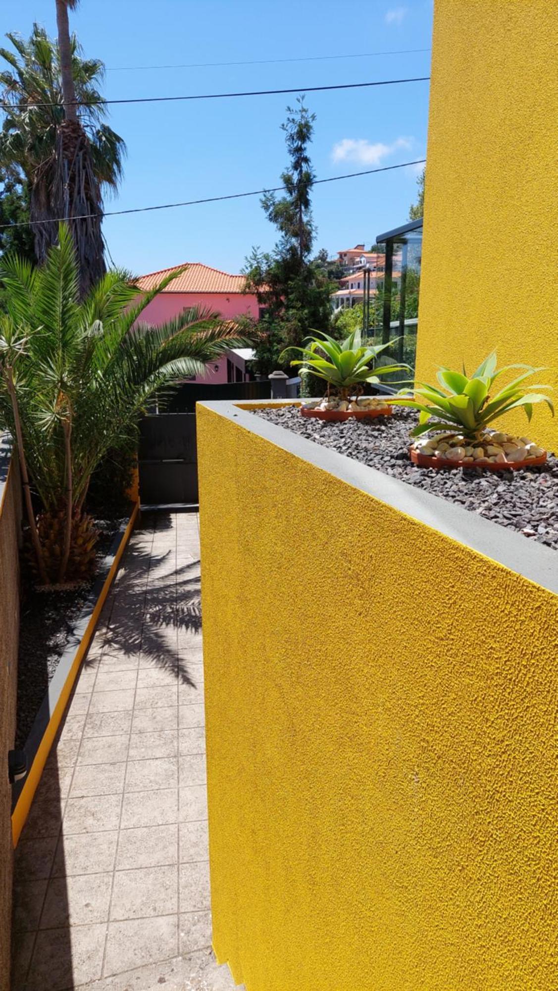 Villa Strelitzia Funchal  Esterno foto
